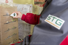 STG 2019 - NOSTANG